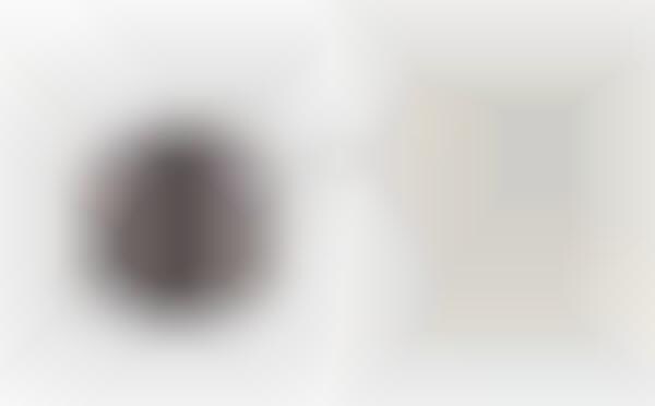 VR Panoramic Cameras