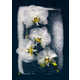 Ice-Encased Flower Photography Image 5