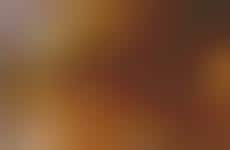 Macaroni-Centric Restaurant Menus