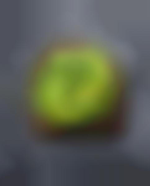 Swirled Avocado Photography