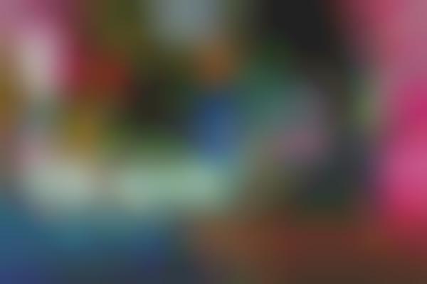 Blurred Multi-Layered Photography
