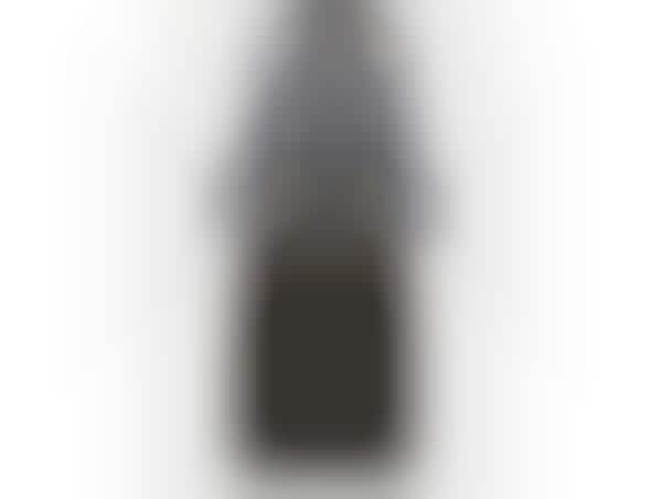 Electronics-Ensconcing Backpacks