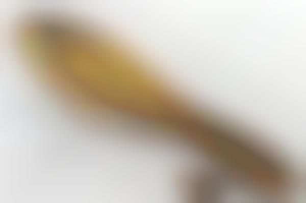 Famous Painting Brushes