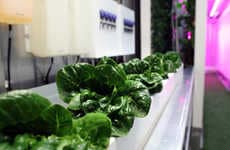 Vertical Farming Progams