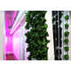 Vertical Farming Progams Image 3