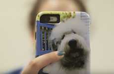 Pet-Centric College Ads