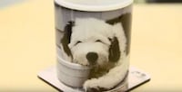 Pet-Centric College Ads Image 6