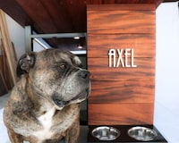 Contemporary Upscale Dog Houses Image 6