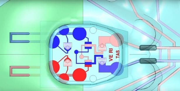 Autonomous Octopus Robots
