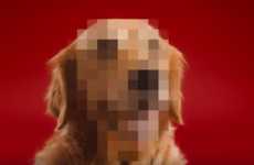 Confessional Canine Campaigns