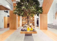 Luminous Store Concepts Image 5