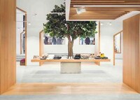 Luminous Store Concepts Image 7