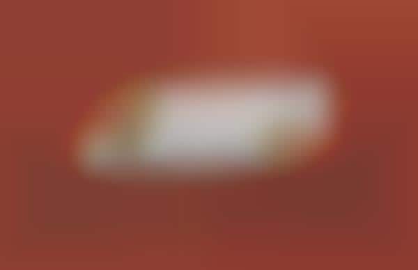 Fiber-Filled Snack Bar Concepts