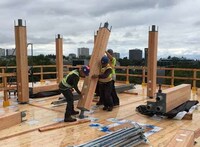 Timber Student Towers Image 3