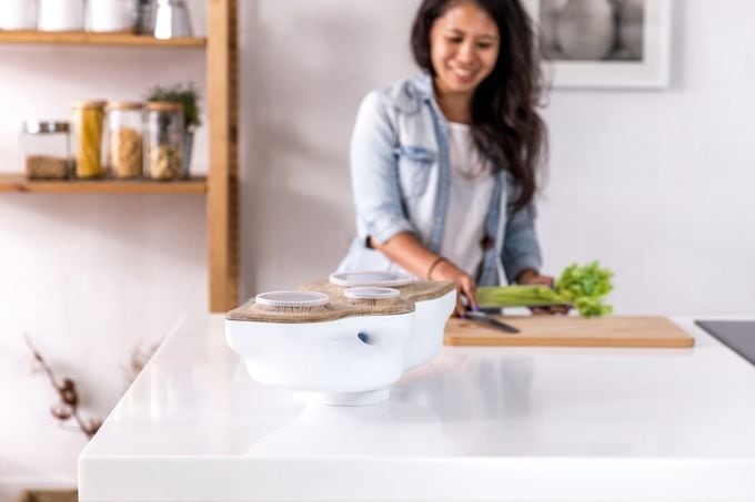 Tabletop Compost Systems