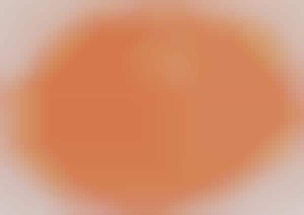 Autumnal Face Highlighters