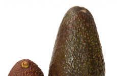 Small-Scale Avocados