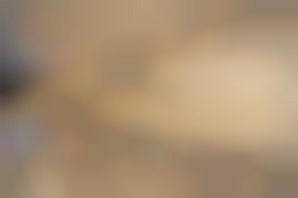 Veneer-Treated Surfboards