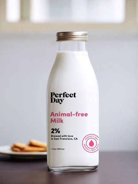 35 Alternative Milk Beverages