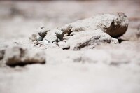 Camouflaged Anime Photography Image 2