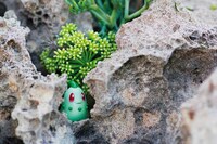 Camouflaged Anime Photography Image 3