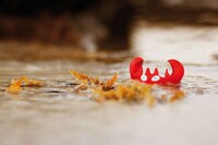 Camouflaged Anime Photography Image 5