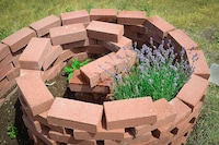 Sustainable Gardening Clubs Image 3