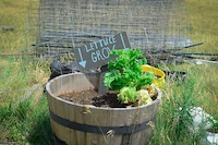Sustainable Gardening Clubs Image 5