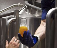 Craft Beer College Courses Image 2