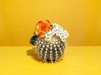 Customized Candle Subscriptions Image 3