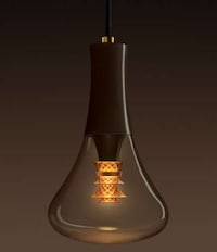 Appearance-Enhancing Bulbs Image 2