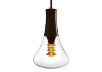 Appearance-Enhancing Bulbs Image 3