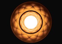 Appearance-Enhancing Bulbs Image 4