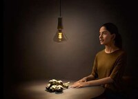 Appearance-Enhancing Bulbs Image 6