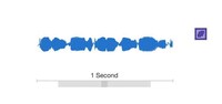 Nonhuman Vocal Algorithms Image 5