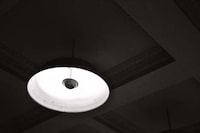 Culinary Stimuli Saloons Image 4