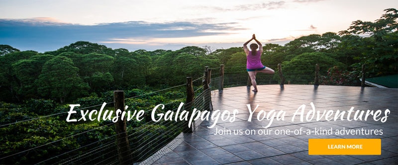 Rejuvenating Yoga Retreats