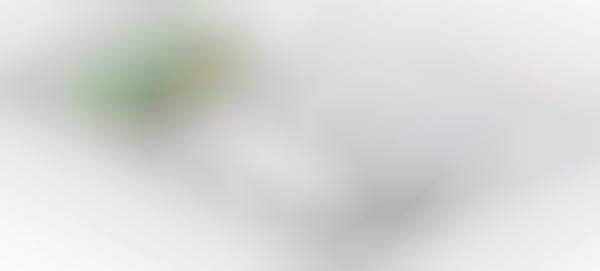 Email-Scouring Travel Apps