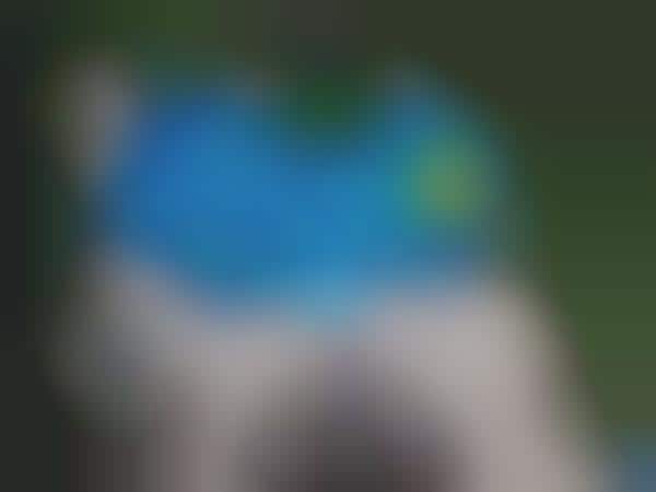Eagle Eye Artwork Pools