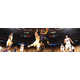 360-Degree Sports Films Image 4