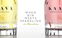 Sparkling Gin Bottles Image 4