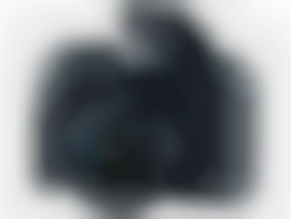 Mirrorless Connected Cameras