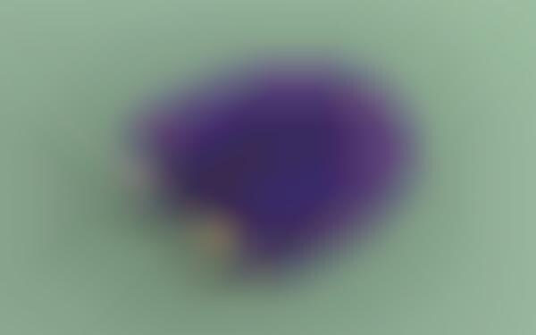 Interactive Smart Beacon Displays: The Estimote Mirror Can Display ...