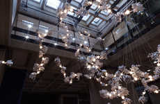Coralline Lighting Installations