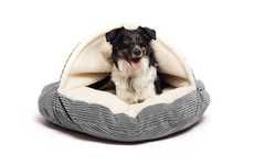 Cave-Inspired Dog Beds