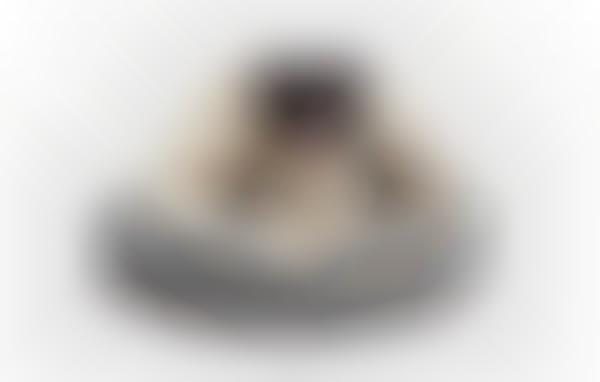 Cave-Inspired Dog Beds