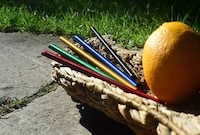 Reusable Fruit Straws Image 2