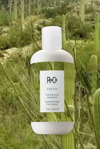 Style-Enhancing Texturizing Shampoos Image 2