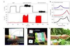 Sustainable Energy-Generating Fabrics