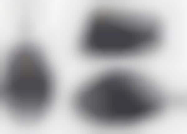Heart-Tracking Mouses